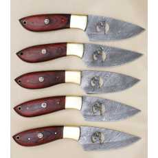 Pack of 5 Custom Handmade Stag design Dollar wood  Bowie Knife Hunting...