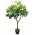 2x Artificial Fake Home Plant Money Bag Bush Flower Tree 103cm Room Hall Decor