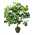 2x Artificial Ficus Leaf Topiary Mini Leaves 175cm Fake Home Plant Bush Flowers