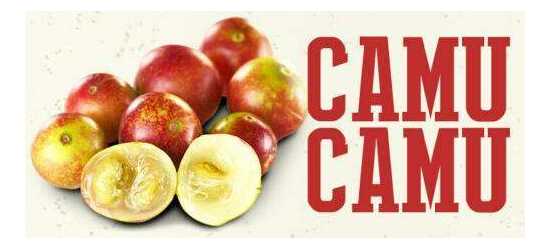 500g Camu Camu Powder Natural Organic Super Foods Vitamin C Amazonian Fruit